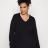 Viril V-Neck Noos - Trui - Black